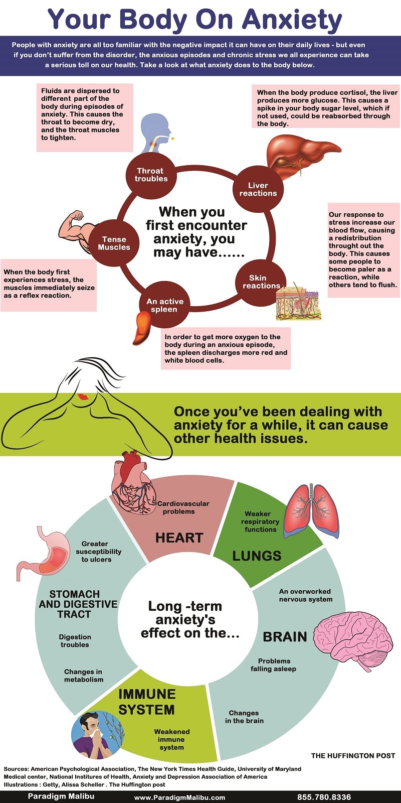 Infographic - Your Body on Anxiety | Vantage Point Recovery Blog
